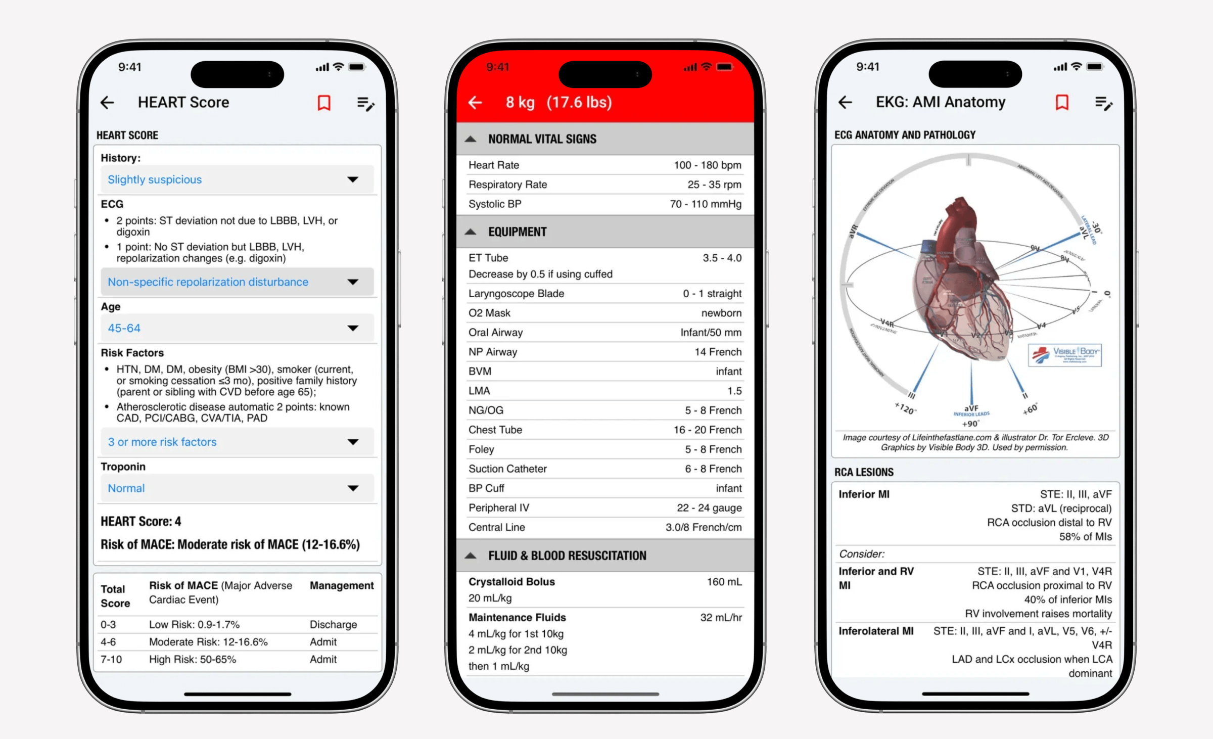 palmEM AI mobile application.png